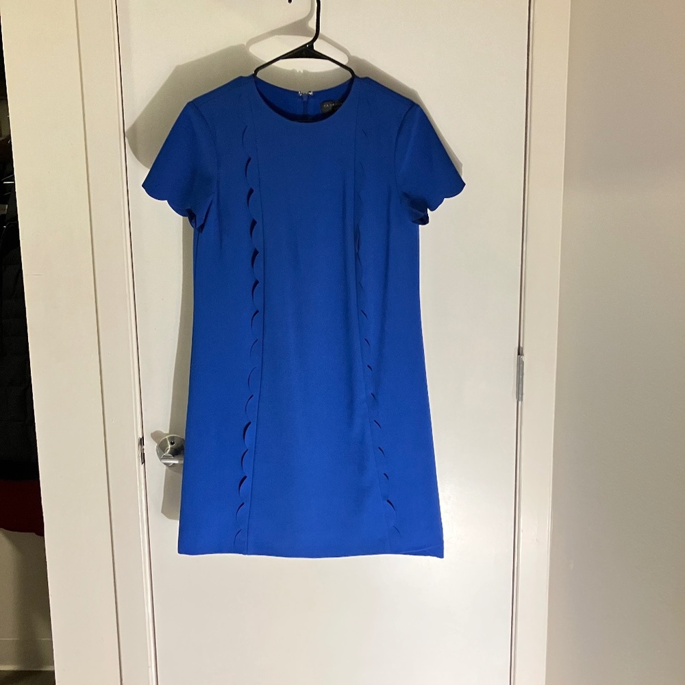 Blue Tahari Levine Studio T shirt Dress Size 6